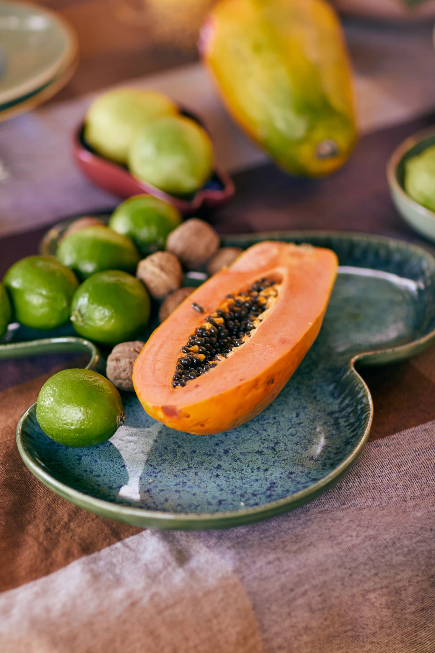 HK Living Shell Teller – Aquatic – Bild 3