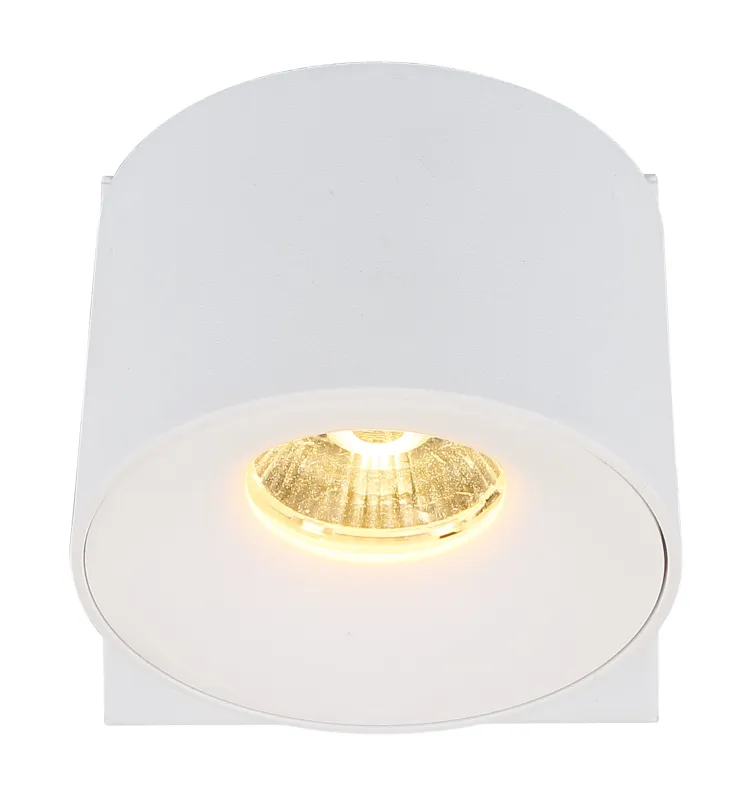 Strahler – Zog – Bild 5