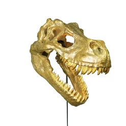 Wandleuchte – Rexy