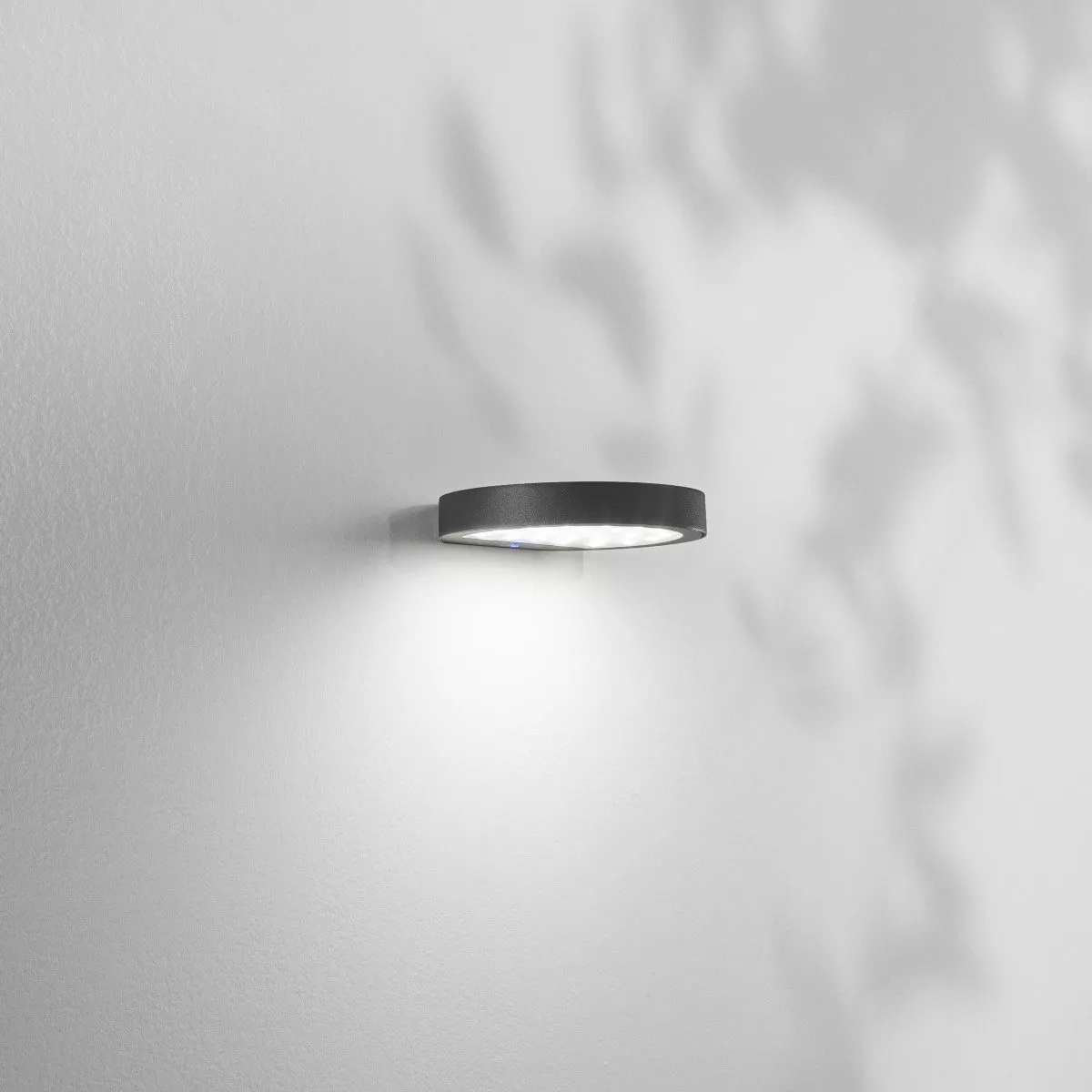 Wandleuchte – Palmer – Bild 2