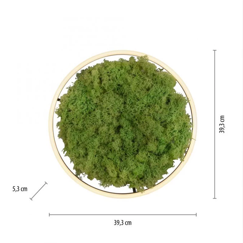 Deckenleuchte – Moos 3-Step-Dim – Bild 10