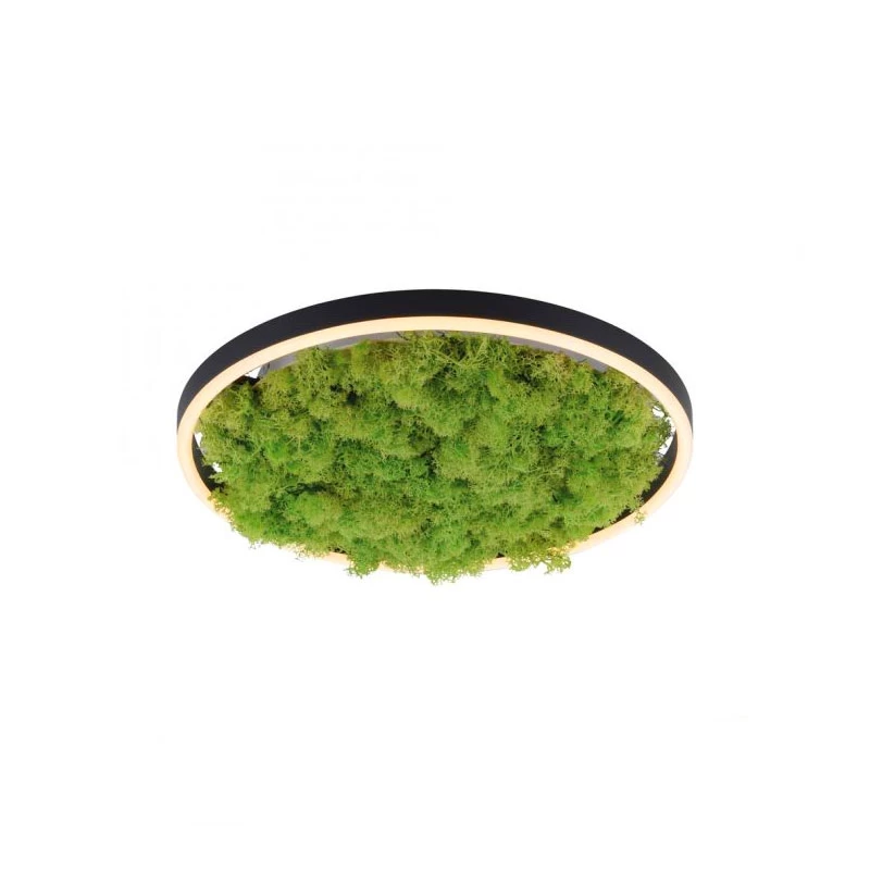Deckenleuchte – Moos 3-Step-Dim