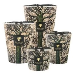 Baobab Duftkerze – Sacred Trees Morondo