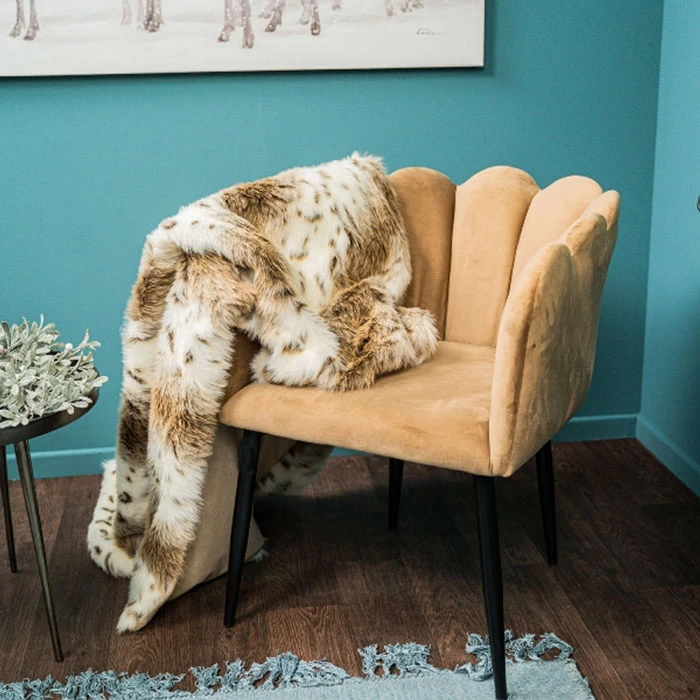 Sessel – Shell – Bild 5